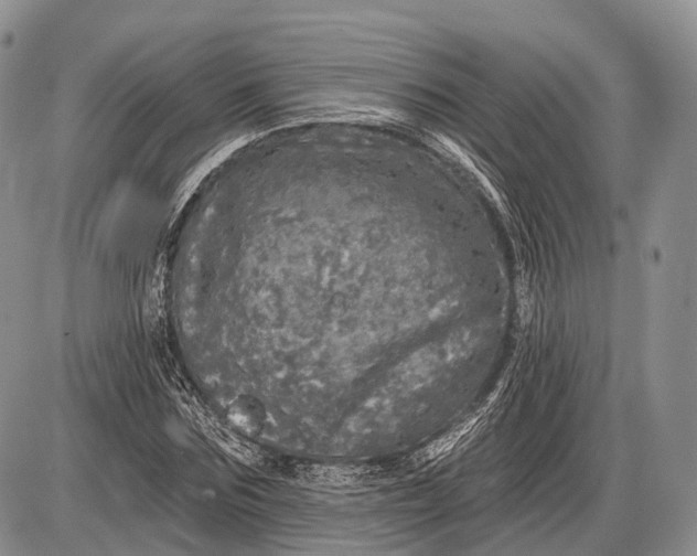 X0000085000875200703191047