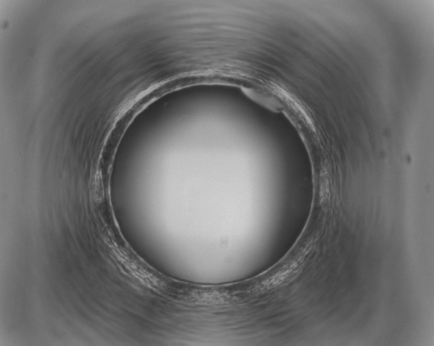 X0000085000876200703191047