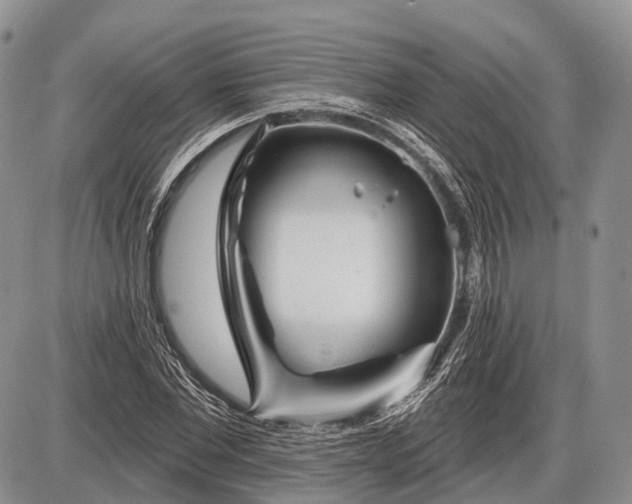 X0000085000877200703191047