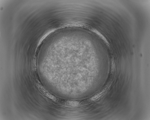 X0000085000878200703191047