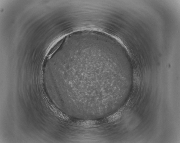 X0000085000879200703191047