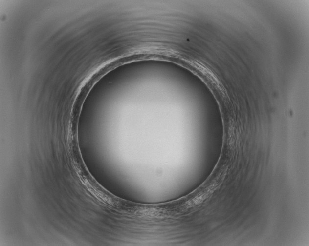 X0000085000880200703191047