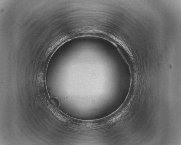 X0000085000881200703191047