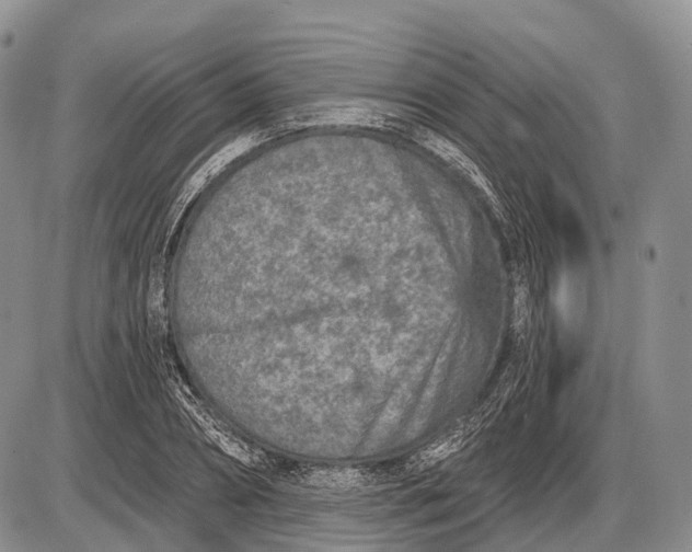 X0000085000882200703191047