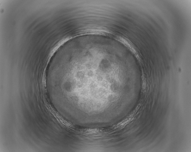 X0000085000883200703191047