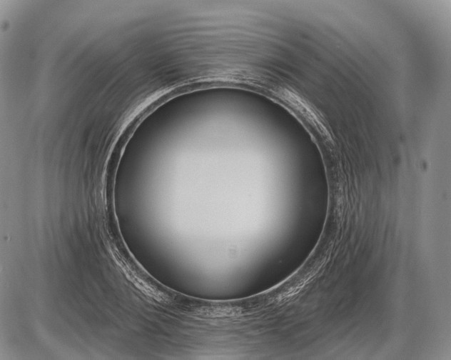 X0000085000884200703191047