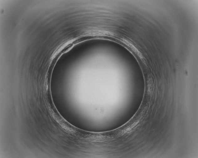 X0000085000885200703191047