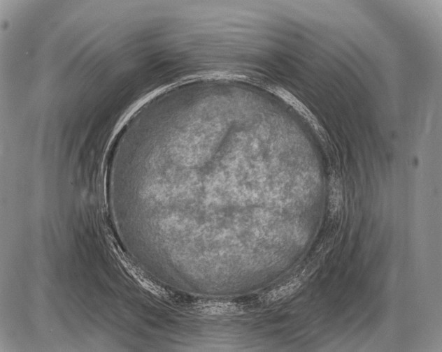 X0000085000886200703191047