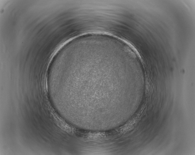 X0000085000887200703191047