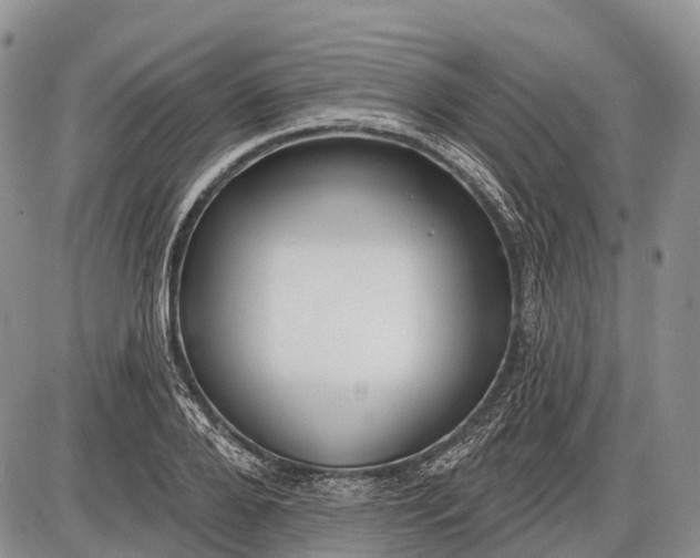 X0000085000888200703191047