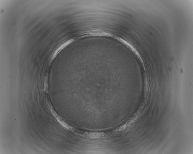 X0000085000889200703191047