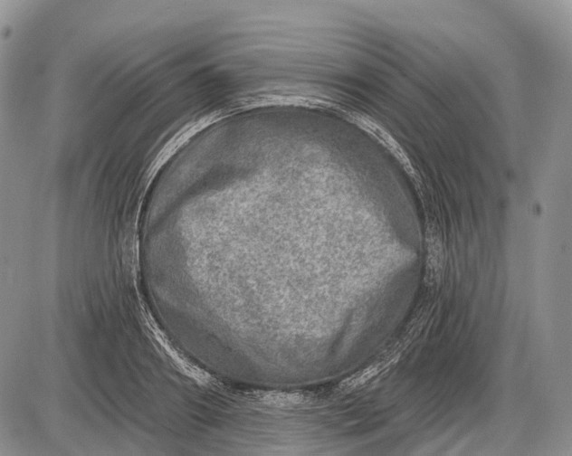 X0000085000890200703191047