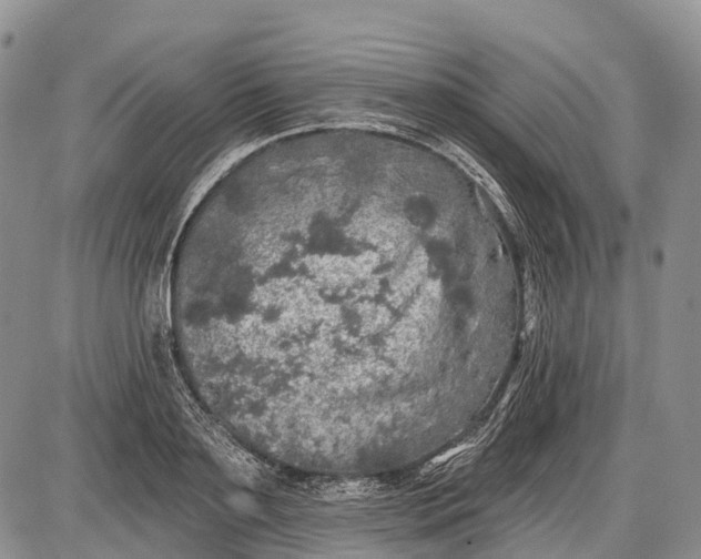 X0000085000891200703191047