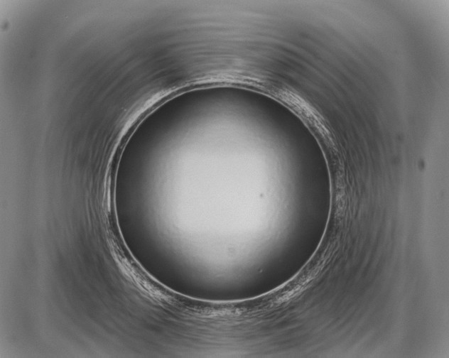 X0000085000892200703191047