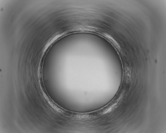 X0000085000893200703191047