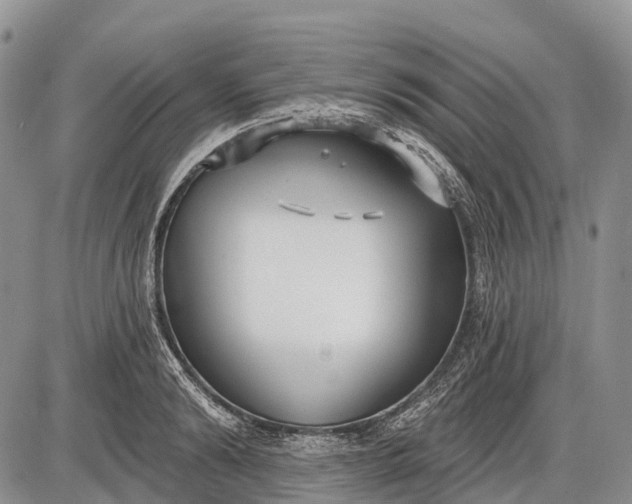 X0000085000894200703191047