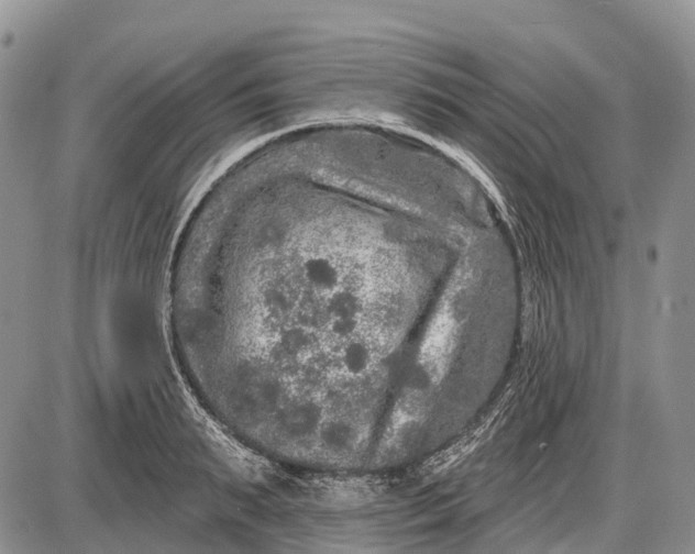 X0000085000895200703191047