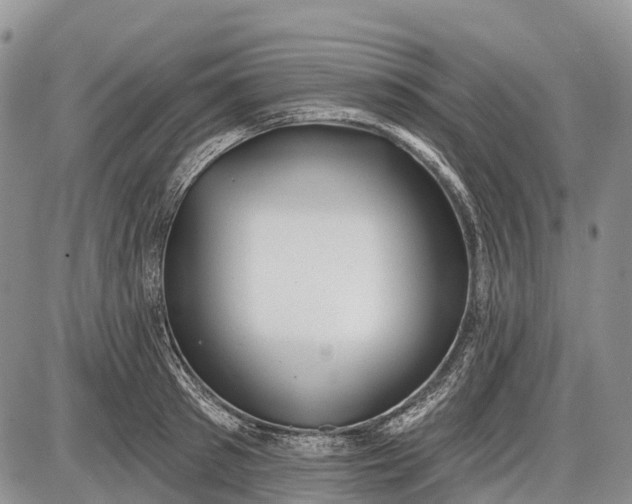 X0000085000897200703191047