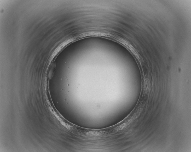 X0000085000898200703191047