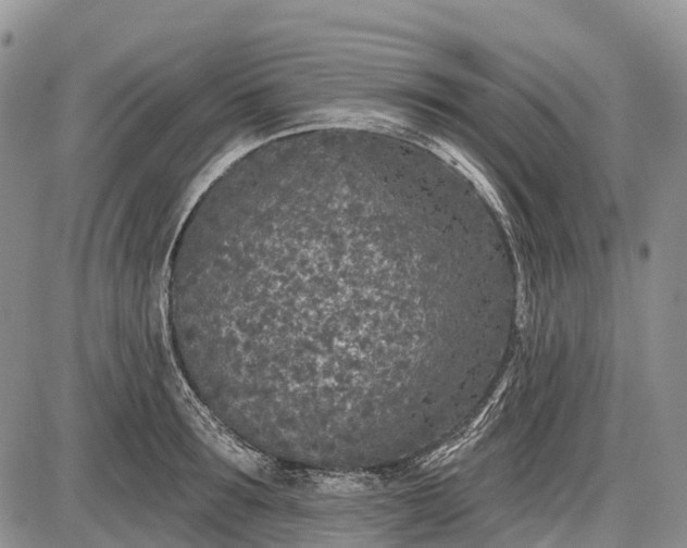 X0000085000899200703191047