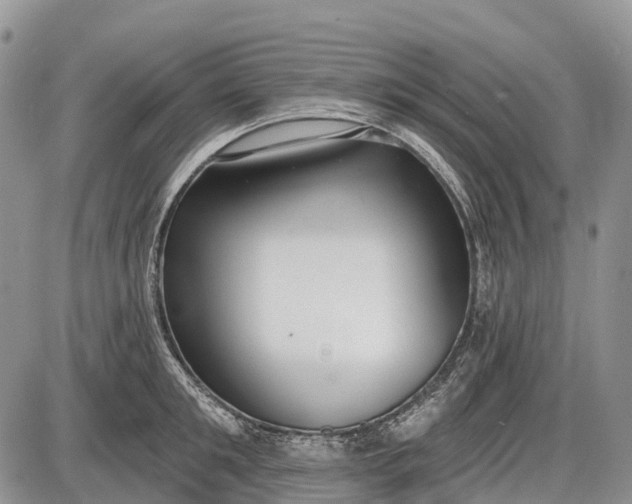 X0000085000901200703191047