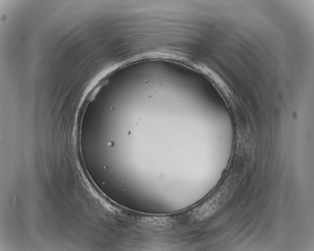 X0000085000902200703191047