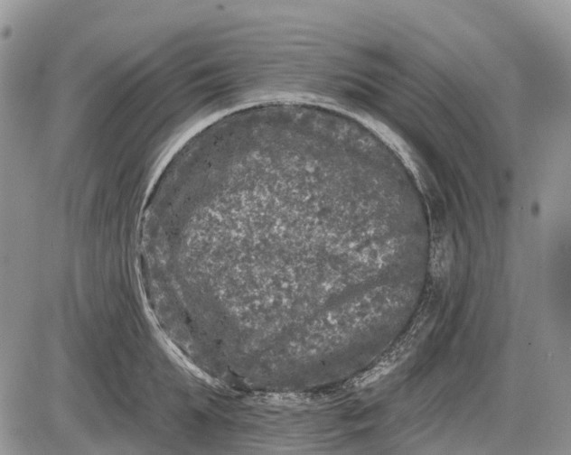 X0000085000903200703191047