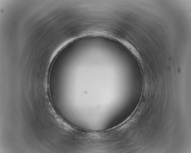 X0000085000904200703191047