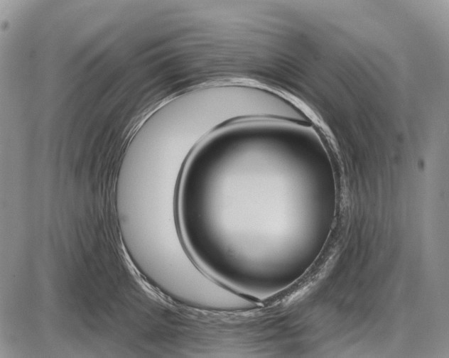 X0000085000905200703191047