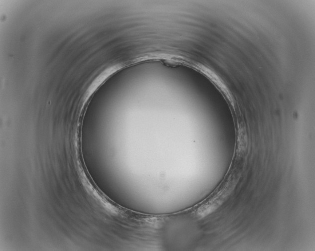 X0000085000906200703191047