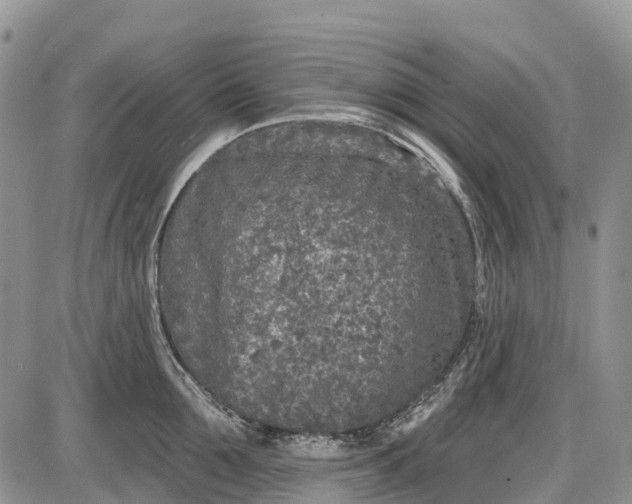 X0000085000907200703191047