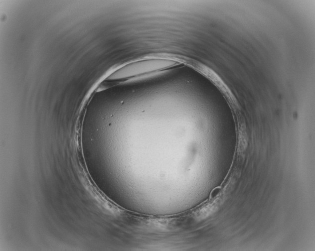 X0000085000908200703191047