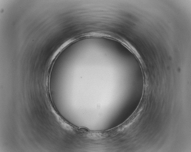 X0000085000909200703191046