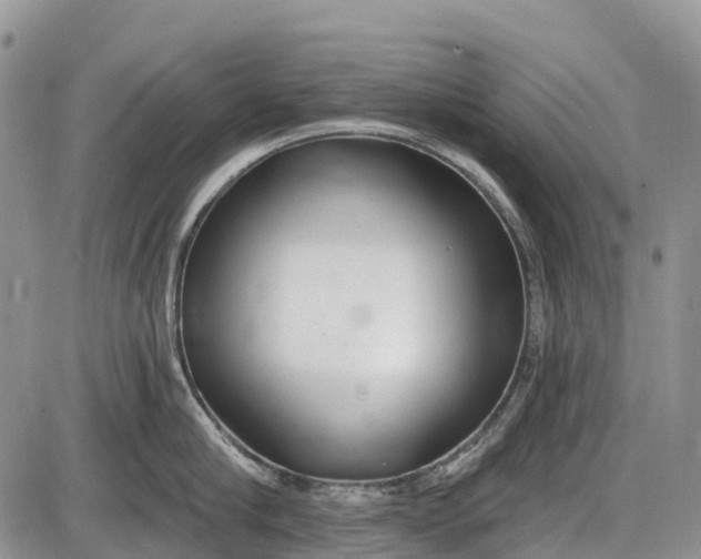 X0000085000910200703191046