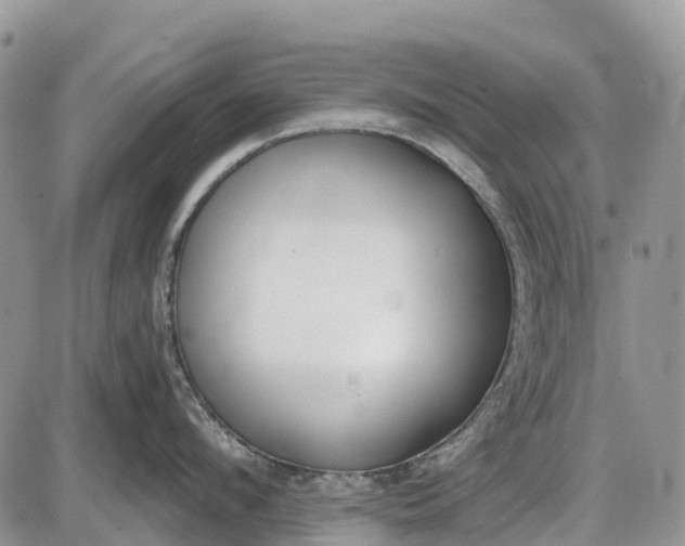 X0000085000912200703191046