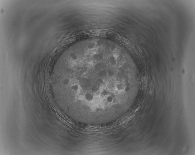 X0000085000913200703191046