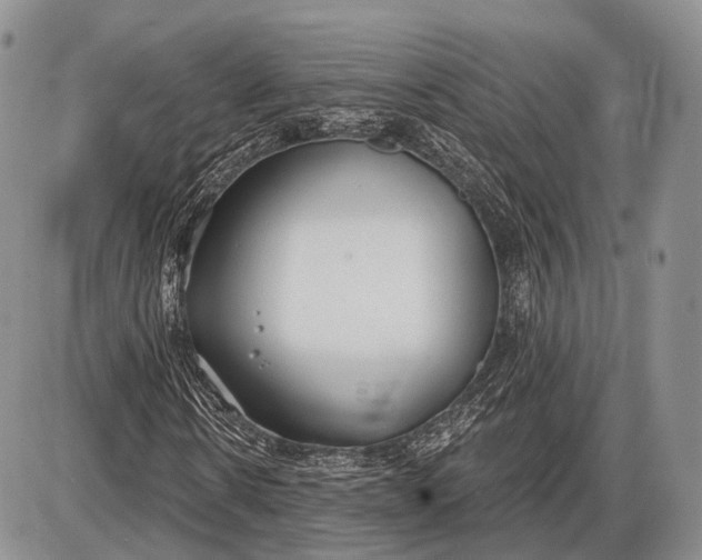 X0000085000914200703191046