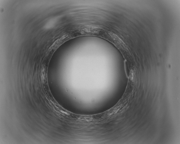 X0000085000915200703191046