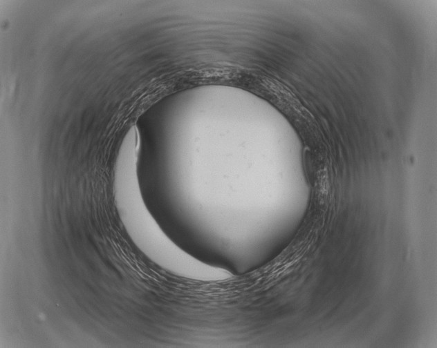 X0000085000916200703191046