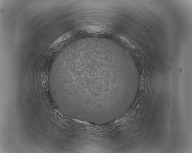 X0000085000917200703191046