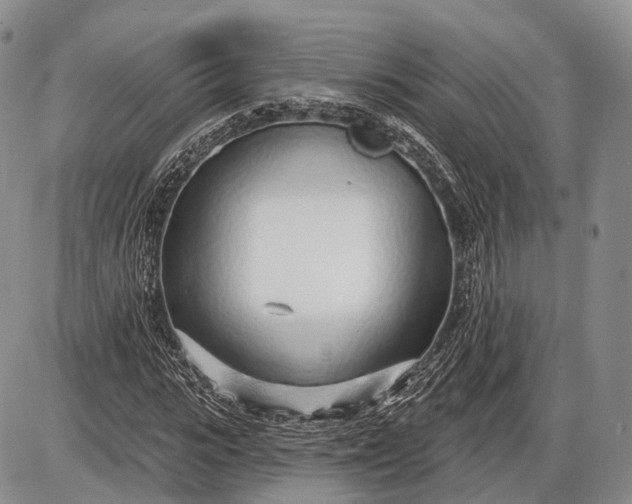 X0000085000919200703191046