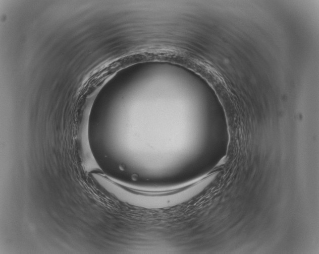 X0000085000920200703191046