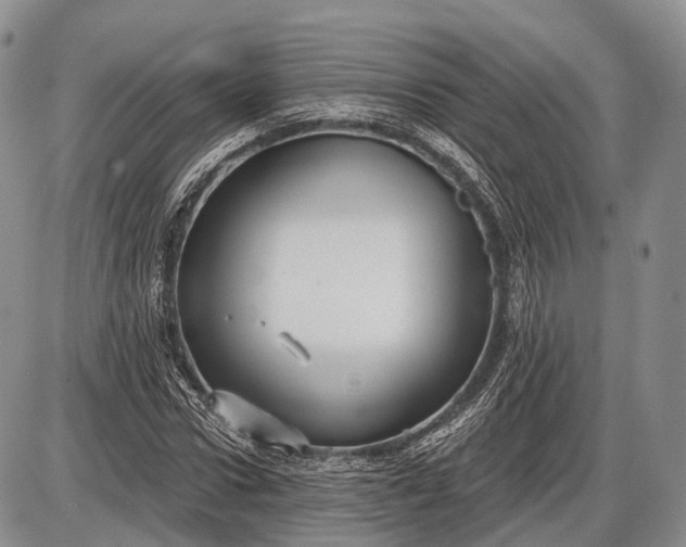 X0000085000922200703191046