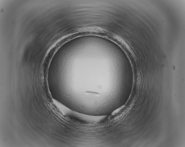 X0000085000923200703191046