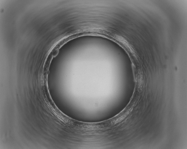 X0000085000924200703191046