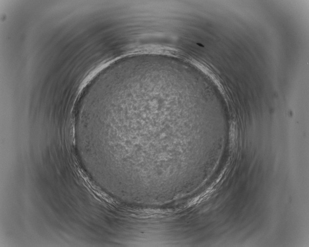 X0000085000925200703191046