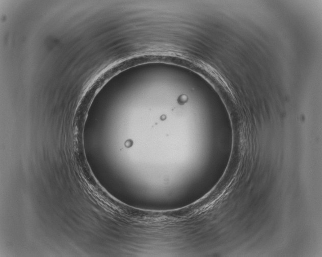 X0000085000926200703191046