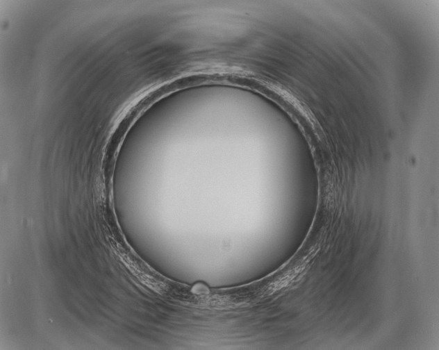 X0000085000927200703191046