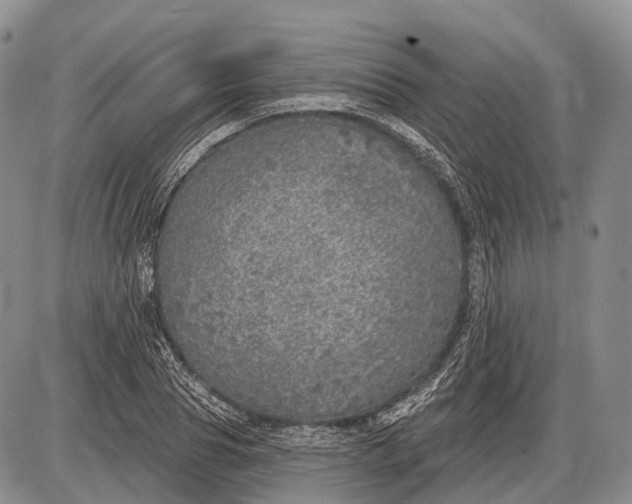 X0000085000929200703191046