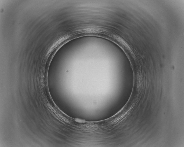 X0000085000930200703191046